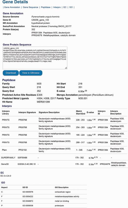 The layout of gene details page. The information, including gene ID, NCBI nr annotation, SwissProt annotation, GO annotation, protein size, domain sites, EC number and detailed functional annotation reports is available for every predicted gene.