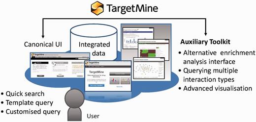 TargetMine enables the users to discover new hypotheses interactively, by performing complicated searches without any scripting and programming efforts on the part of the user and also by obtaining the results in an easy to comprehend output format.