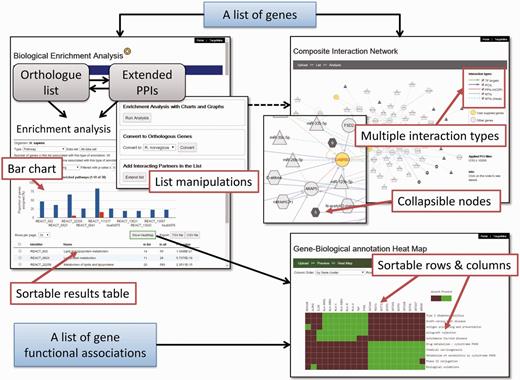 A screenshot of the TargetMine auxiliary toolkit for data analysis and visualization.