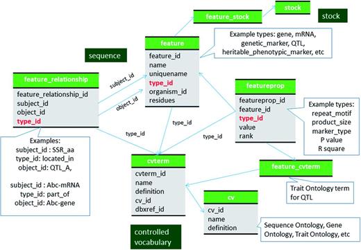 Schematic diagram of how genomic features are stored in Chado using ontology. The bold red fields represent foreign keys to the cvterm table which houses vocabulary terms. Boxes in dark green represents the modules of Chado represented in this diagram.