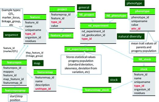 Schematic diagram of how the genetic map data of molecular markers and QTL are stored in Chado. The bold red fields represent foreign keys to the cvterm table which houses vocabulary terms. Boxes in dark green represents the modules of Chado represented in this diagram.