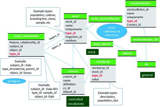 Schematic diagram of how stocks are stored in Chado. Hierarchical stocks, from samples, cultivars to population are stored in samples and their relationship including pedigree are stored in stock_relationship table. The bold red fields represent foreign keys to the cvterm table which houses vocabulary terms. Boxes in dark green represents the modules of Chado represented in this diagram.