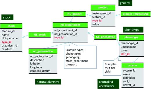 Schematic diagram of how phenotypic data are stored in Chado. Datasets, such as passport data and cross data, which do not have associated phenotypic or genotypic data can also be stored in the nd_experiment table and linked to the stock table. The bold red fields represent foreign keys to the cvterm table which houses vocabulary terms. Boxes in dark green represents the modules of Chado represented in this diagram.