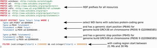 An example SPARQL query, using the Wikidata SPARQL endpoint (query.wikidata.org). It retrieves all Wikidata (WD) items which are of subclass protein-coding gene (Q840604), which have a chromosomal start position (P644) according to human genome build GRCh38 and reside on human chromosome (P659) 9 (Q20966585) and a chromosomal end position (P645) also on chromosome 9. Furthermore, the region of interest is restricted to a chromosomal start position between 21 and 30 megabase pairs. Colors: Red indicates SPARQL commands, blue represents variable names, green represents URIs and brown are strings. Arrows point to the source code the description applies to.