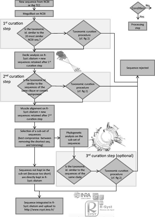 General flowchart of the curation and integration of new sequences in the R-Syst::diatom. Taxonomic curation procedure is detailed in a flowchart (Figure 2). Diamonds are conditions, the arrow from the bottom point of the diamond corresponds to ‘Yes’, the arrow from the right point of the diamond corresponds to ‘No’. Rectangles are processing steps.