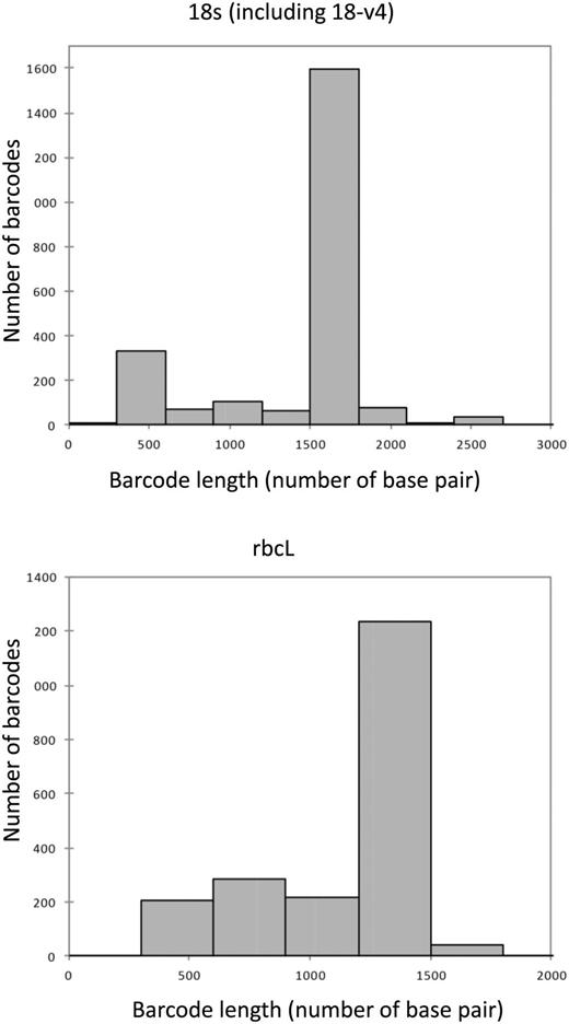 Amount and length of the barcodes present in R-Syst::diatom (update of September 2015).