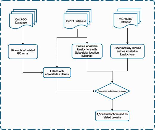 The schema of database construction and data collection processes.