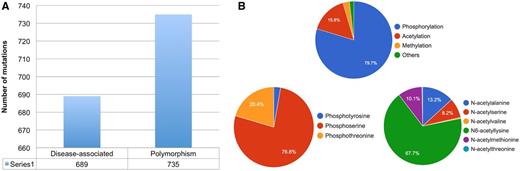 Statistical analysis of single point mutations and protein PTM types in KinetochoreDB. (A) Distribution of disease-associated mutations and polymorphisms. (B) Distribution of different major types of protein PTM, e.g. phosphorylation, acetylation, methylation and others. The distribution of sub-types of phosphorylation and acetylation is also shown.
