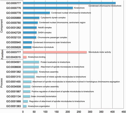 Statistical analysis of the number of entries from KinetochoreDB involved in different GO terms, which were grouped according to three categories: cellular component, molecular function and cellular process.