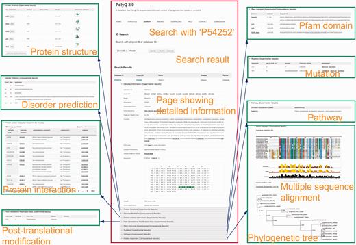 Typical search results in PolyQ 2.0 using the UniProt ID P54252 as an example. The website consists of nine sections showing detailed information for each entry, including gene/protein information, protein structure, metabolic/signalling pathway, protein interaction, post-translational modification site, Pfam domain, disorder region prediction, protein mutation and MSA.