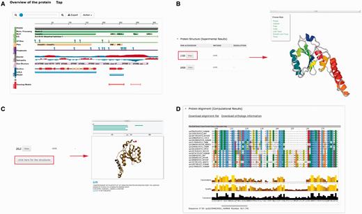  Plug-ins in PolyQ 2.0 to enhance database visualization. ( A ) Protein feature view plug-in. ( B ) PV showing protein structure. ( C ) pViz for visualizing multiple structures. ( D ) Jalview displaying MSAs. 