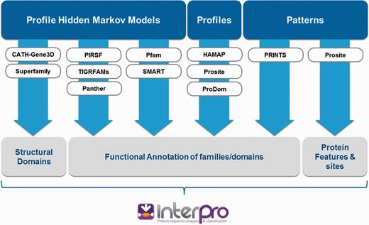 InterPro integrates signatures from 11 member databases. Each source database has its own distinct biological focus (structural domains, functional families/domains, protein sites) and uses different methods to create protein signatures (hidden Markov models, profiles or patterns).