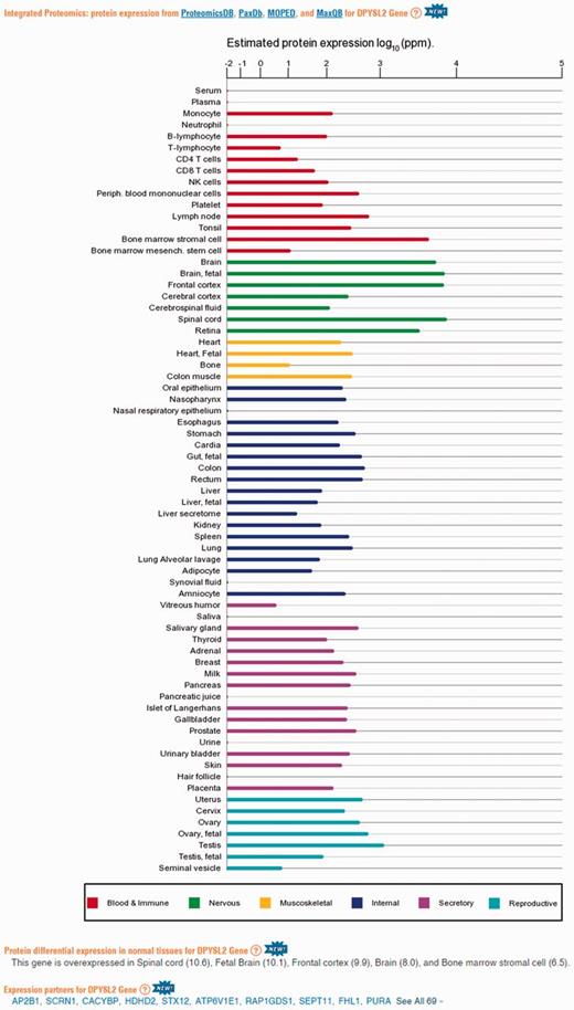 Protein abundance data in GeneCards. A screenshot of protein expression based data for the gene DPYSL2, including (i) protein expression chart; (ii) a list of tissues in which the gene is differentially expressed; (iii) a list of the gene expression partners. DPYSL2 plays a role in neuronal development and polarity, as well as in axon growth and guidance, neuronal growth cone collapse and cell migration (25). Protein expression charts are created via GeneCards automated expression charts pipeline. In order to optimize user perception of the expression, values were displayed using a special root scale (35). This scale enables viewing many orders of magnitude like on a logarithmic scale, but preserves certain characteristics of a linear scale in which the differences increase with the orders of magnitude.
