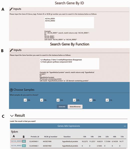 Overview of the ‘Search’ interface. (A) Users can search genes by Gene ID (locus_tag), Protein ID or NCBI gi number. For example, Gene IDs ‘AG1IA_00001’ or ‘AG1IA_00002’ can be searched independently; however, multiple Gene IDs are also accommodated. (B) Users can also search genes by Gene Function. For example, ‘1,3-beta-glucan synthase component GLS2’ can be searched independently or with additional Gene Functions. (C) Search results are provided in tabular format.