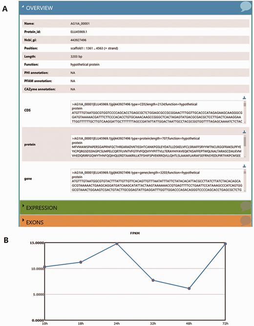 More detailed information derived from the search results. (A) GeneBrowse is used to provide detailed information from a search of R. solani AG1 IA genes. ( B) The broken line graph reflects variations in gene expression profiles between infection times.