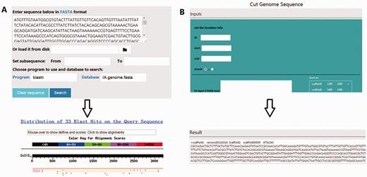Screenshots of two frequently-used tools in the RSIADB database. (A) BLAST interface (top) and BLASTn results (bottom). (B) An example of the input and output interface for the Sequence Extractor tool.