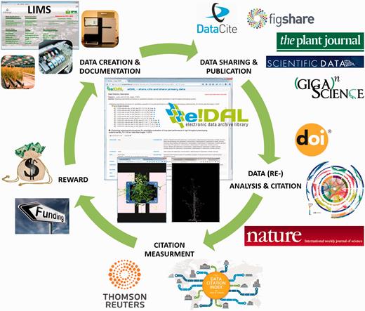 Data publication cycle. This cycle illustrates the scientific value chain for research data publication. The documentation of experimental metadata and result data represent the basis for scientific journal publications. These are the main outcomes of scientific work, representing scientific successes as the most important way of communication of research results in the community. A parallel public sharing of experimental data increase the scientific value by enabling tests for reproducibility and providing valuable resources for further downstream analysis. In turn, new findings that are reported in published datasets increase its scientific impact and boost the author’s scholarly credit. Data citation indexes are increasingly accepted as measurement for scientific success which in turn represents the most important prerequisite for project proposals and the acquisition of funding for new projects.