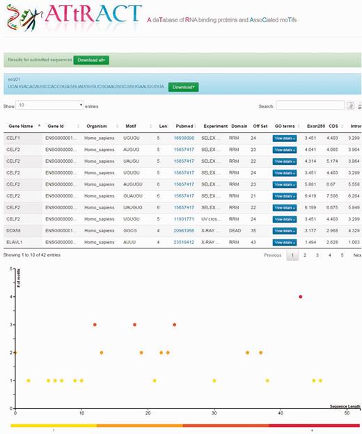 Example of the ATtRACT result page showing the sequence scan for an input sequence. On the top of the page the results appear in table format. The bottom of the page displays the graph showing the frequency and position of motifs in the input sequence.