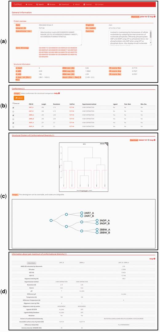 Protein entry page for Adenylate kinase 4. ( a ) Overview about biological annotations and structural information like number of conformers, experimental method, RMSD and others. All of these information can be downloaded by clicking on the download links on the top right side of the page ( b ) The detailed information for each conformer, the user can select conformers in order to retrieve all pair-wise comparison. ( c ) Hierarchical clustering using the C-alpha RMSD values between all pairs of conformers. The dendrograms shows the clusters with similar conformers, it is possible to zoom and collapse the nodes in the dendrogram on the bottom of this section. The clusters information and the image can be download with the links on the top right side on this section ( d ) Description of the maximum pair of conformational diversity of the current entry. Detailed structural information about the pair can be accessed by clicking on the button ‘View details’.