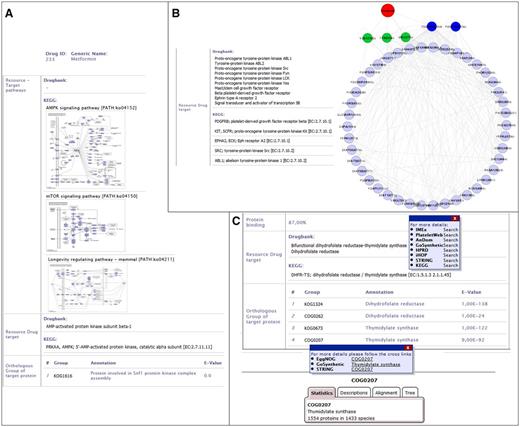 DrumPID use case examples. (A) Drug: DrumPID example to find a drug activating a target protein. (B) Target protein: DrumPID example to study target proteins in a cell-type-specific context. (C) Organism: DrumPID example to identify target proteins across various organisms. (DrumPID screenshots for illustration, detailed explanation of the shown data is in the text.)