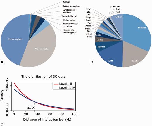 Data statistics. A. The distribution of 3C data examined in the species; B. The distribution between restriction enzymes used in 3C experiments; C. The distribution of 3C measured chromatin interactions over anchor-target distance in the gel image group (red) and the numeric peak group (blue). We fitted 3C data with exponential distribution by R function dexp(). The parameter λ of exponential distribution for the fitted red and blue curve is 3.326e-5 and 2.600e-5, respectively. The Y-axis shows the probability density of chromatin interactions in 3CDB.