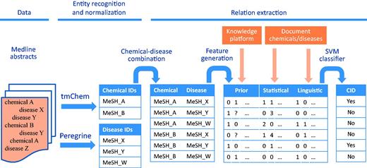Workflow for CDR extraction. The chemical and disease entities in a Medline abstract are recognized and mapped to their corresponding MeSH identifiers by tmChem (for chemicals) and Peregrine (for diseases). For each possible combination of chemicals and diseases that are found in the document, features are generated based on prior knowledge from a knowledge platform, and based on statistical and linguistic information from the document. The features are fed to an SVM classifier to detect CIDs.