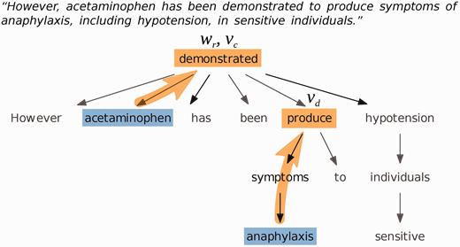 Example dependency parse tree for a sentence about the chemical ‘acetaminophen’ and the disease ‘anaphylaxis’. The governing verb of the disease is ‘produce’; the governing verb of the chemical is ‘demonstrated’, which is also the relating word.