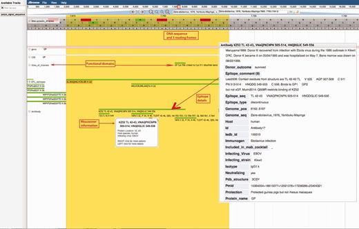 Ebola Genome Browser. http://hfv.lanl.gov/content/sequence/genome_browser/browser_ebola.html. Provides interactive viewing of the ebolavirus gene map, including functional domains and epitopes from both ebolavirus and marburgvirus. The tool is a customization of JBrowse (http://jbrowse.org/) (24, 25), built to incorporate multiple sources of information about ebolaviruses and marburgviruses. All nucleotide and protein positions shown are based on reference sequence Yambuku-Mayinga (accession NC_002549). The comments on a figure are shown with red boxes and red arrows.