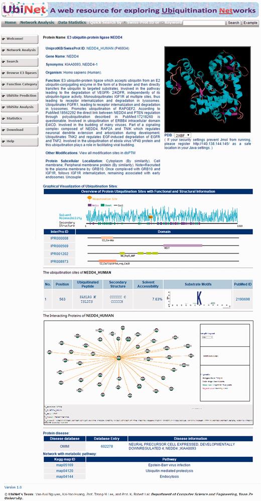 Web interface of a typical UbiNet query, including basic protein information, graphical visualizations of ubiquitylation sites with structural characteristics and functional domains, a table of ubiquitylated sites with substrate motifs and supported literature, a dynamic visualization of E3-substrate networks, disease associations and KEGG metabolic pathways associated with the network.