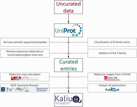 Schematic representation of the data stream and curation process in Kalium.