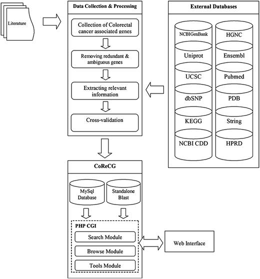 The schema of CoReCG database. Figure explains the data collection steps used in CoReCG resourced from literature and various databases. It also showing methods for retrieval of information and databases linked to CoReCG.