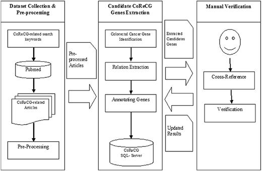 The flowchart of CoReCG data collection. The figure shows the steps involved in collecting data for CoReCG which includes, preprocessing of data using related keywords against pubmed to fetch relevant articles, followed by the extraction of information from literature and annotation and submitting information in CoReCG, the whole process were manually curated and verified from cross references and updating in CoReCG.