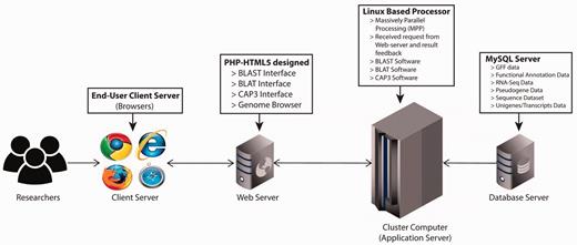 PGD four-tier web application architecture. (client workstation, web server, application server and database server).