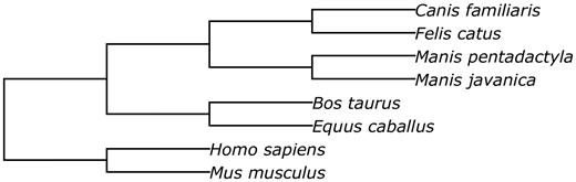 The phylogenetic tree of species involved into the structural alignment.