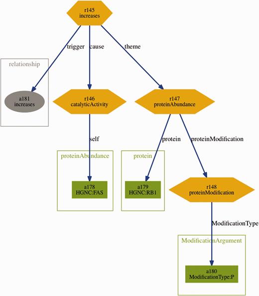 Visualization of the BEL statement ‘ cat(p(HGNC:FAS)) increases p(HGNC:RB1,pmod(P)) ’ derived from the sentence ‘Fas stimulation of Jurkat cells is known to induce p38 kinase and we find a pronounced increase in Rb phosphorylation within 30 min of Fas stimulation’.