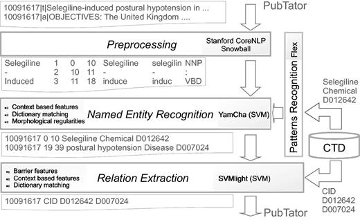 System architecture.