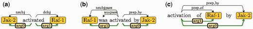 Sample EDGs with an (a) active, (b), passive (b), and (c) nominalized forms of the verb “activate”.