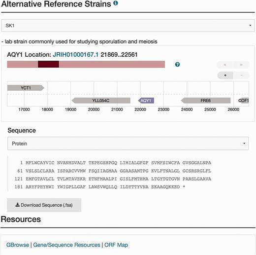  Visualization of the new sequence data for AQY1 in the database. The Sequence page can be accessed by selecting the tab at the top of the AQY1 LSP, labeled ‘Sequence.’ There are six sections within the Sequence page including the ‘Sequence Overview’ for descriptive information, ‘Alternative Reference Strains’ for viewing the DNA or protein sequence in a selected alternative reference strain, and ‘Resources’ for access to processed results using sequence analysis tools (e.g. a new tool called SGD Variant Viewer ( 28 ), updated BLAST search, and ClustalW multiple sequence alignments). Selection of SK1 as an alternative strain is illustrated in this figure. Neighbor genes of AQY1 in SK1 are also shown in the visualization. When the user clicks a sequence analysis tool (URL in blue) in the resources tab, they will view the gene-specific results using that tool. 