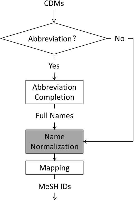 Workflow of our normalization module.