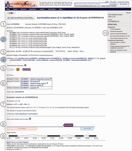 Screenshot of an ArthropodaCyc enzyme page. The page provides several information such as: (1) gene name, accession numbers and synonym names; (2) a summary of metabolism annotation evidences from KAAS-KEGG, PRIAM, InterProScan, PhylomeDB and BLAST2GO; (3) genome position with an additional link to the corresponding genome browser, and information on gene and protein length and polypeptide molecular weight; (4) external cross-links to specific genomic databases, enzyme annotation and InterProScan domains information and to phylogeny in PhylomeDB; (5) schematics representing the reaction(s) carried out by the enzyme; (6) Gene ontology terms associated with the enzyme functions; (7) additional information on the reaction(s) carried out by the enzyme, including the pathway(s) (if any) where this reaction may occur; (8) gene local context, including neighbouring genes; (9) gene structure in terms of (added) exons/introns organization and (10) an “Operations box” offering several options for comparative analyses. Filled circles, (2) and (4), represent ArthropodaCyc specific features.