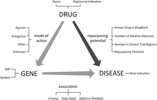 Drug repurposing by the transitive triad of drug, gene and disease. Through the target gene of the drug, new treatment indications can be suggested for an existing drug. This figure shows fields available in ‘RE:fine Drugs’ advanced search.