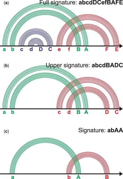  Signature of the pseudoknotted ECR. ( a ) The ECR contains six stems; each stem is labeled with a letter (see the text). The word abcdDCefBAFE composed of such letters is a full signature of the pseudoknot. ( b ) The nested stems named cC and dD at (a) are removed. The letters for the remaining stems are reassigned. The word abcdBADC is an upper signature of the pseudoknot. ( c ) We combine each family of parallel stems into one arc. The letters are reassigned. The word abAB is a signature of the pseudoknot. The figure is prepared after the site www.e-rna.org . 
