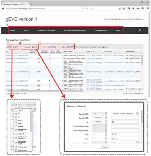 Web interface of the gEVE database. (a) A menu bar is shown at the top, and the current page is ‘Annotation Datasheet’. (b) Display option is available to select annotations of interest (boxed in gray dashed line, left). (c) Advanced searches for the EVE annotations such as genome IDs, viral HMM profiles, chromosome ID and amino acid lengths can be given in a new window (boxed in gray dashed line, right). (d) The annotation table or sequences (nucleotide and/or amino acid) shown in the window can be downloaded in tab-delimited format or FASTA format, respectively.