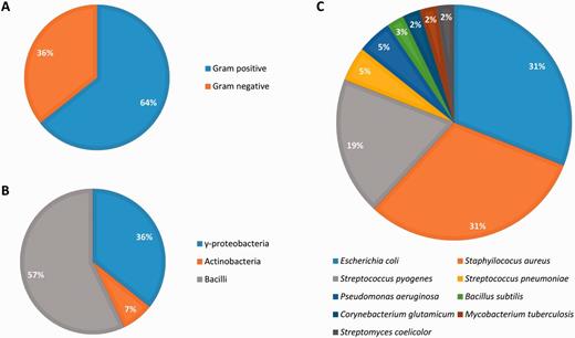Biological diversity in Abasy Atlas.