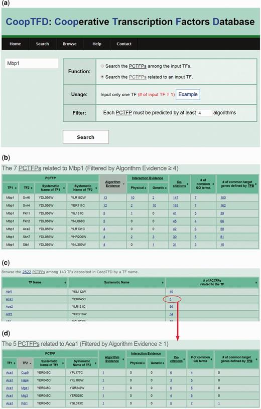 The second search mode and the browse mode. (a) In the second search mode, users can input a TF of interest and specify the lowest number of algorithms that should predict a PCTFP. (b) After submission, CoopTFD returns a table listing all PCTFPs that are related to the input TF and satisfied the specification. (c) In the browse mode, users can browse CoopTFD by a TF name. (d) When clicking on the number in the column of ‘# of PCTFPs related to the TF’, CoopTFD returns a table listing five types of validation information of each PCTFP that is related to the TF.