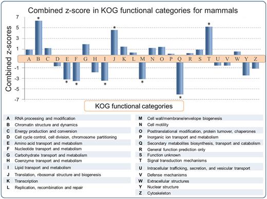 SEG/MEG proportion in different KOG functional categories for mammals, represented as a combined z-score from multiple tests (mammals). A high dimensional analysis of all categorized sequences from SinEx DB shows that, in mammals, CDSs with predicted functions related to chromatin structure (B), signal transduction mechanisms (T) and translation (J) are enriched in SEGs (high proportion of SEGs to MEGs), whereas CDSs with predicted functions related to envelope biogenesis, amino acid, nucleotide, secondary metabolites and lipid metabolism have the lowest SEGs to MEGs proportion. The P value was obtained using the Pearson’s chi-squared test and corrected by Sidak multiple testing method (31). Asterisk indicates statistical significance, P < 0.05.