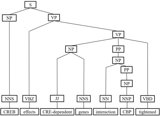 The pruning operation of IPT of the example sentence.