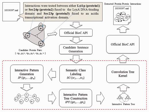 Overview of the PPI extraction method.