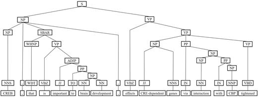 The branching operation of IPT of the example sentence.