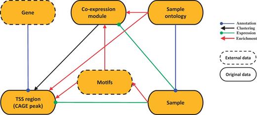 SSTAR data model. SSTAR data model consists of six classes, those represents the main ‘categories’ in SMW. The oval represents a class and the kind of the data stored. Relationship between any two categories is represented as an arrow. The direction of the arrow indicates which of the two classes stores the relationship (indicated by the end of the arrow) as a class attribute. The head and color of the arrow indicates the type of relationship.